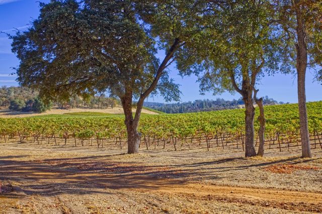 20540 Shenandoah School Road, Plymouth, CA 95669