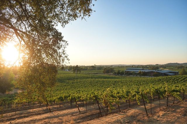 20540 Shenandoah School Road, Plymouth, CA 95669