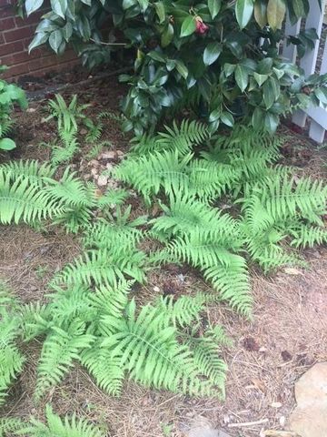 431 Providence Club Drive, Monroe, GA 30656