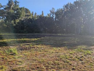 CANDIS RD, Plant City, FL 33565