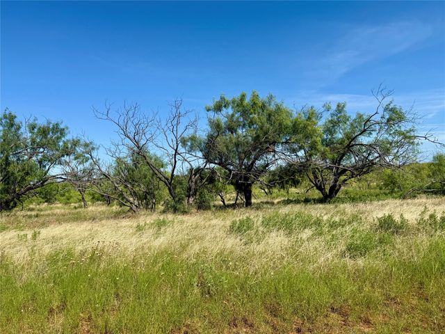 TBD County Road 121, Cross Plains, TX 76443