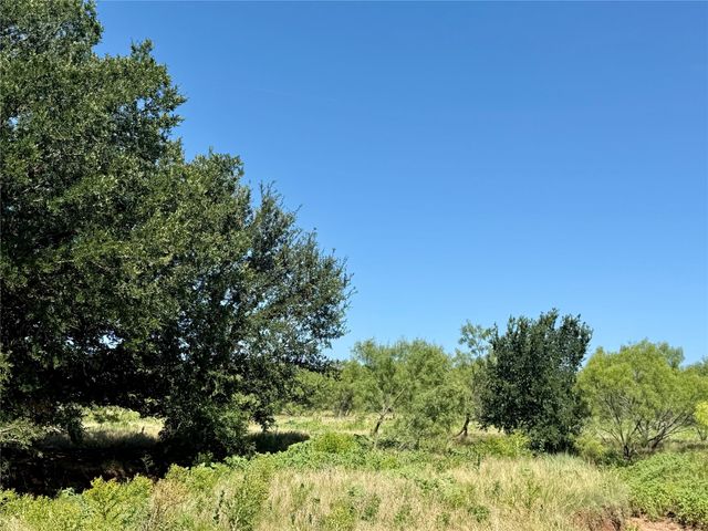 TBD County Road 121, Cross Plains, TX 76443