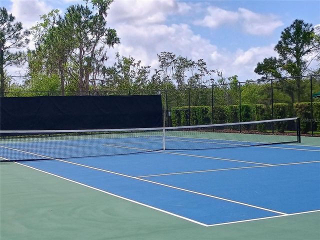 14084 BRIDGEWATER CROSSINGS BOULEVARD, Windermere, FL 34786