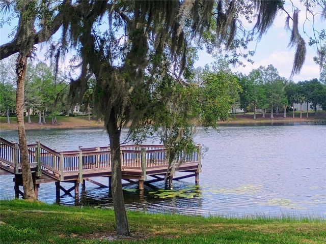 14084 BRIDGEWATER CROSSINGS BOULEVARD, Windermere, FL 34786