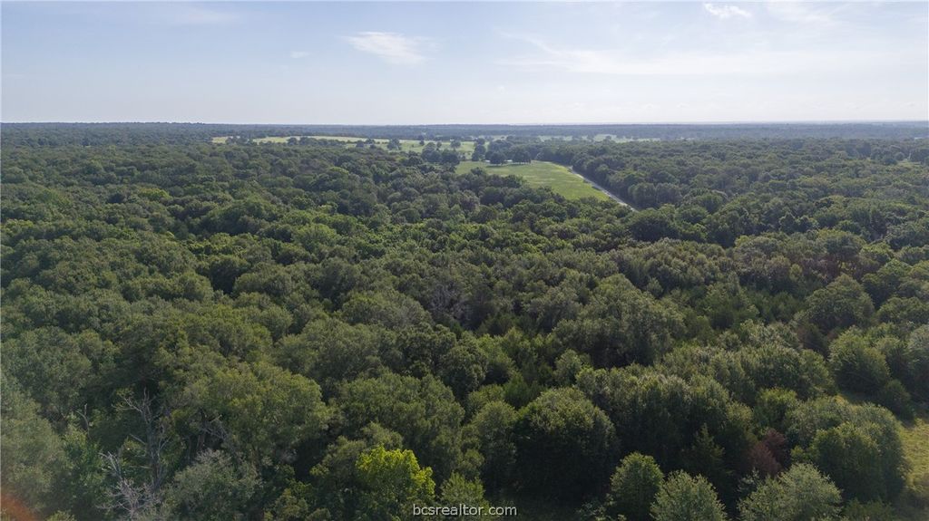 PVT EA FM 2000 TX PR 2025, Caldwell, TX 77836 — photo 2