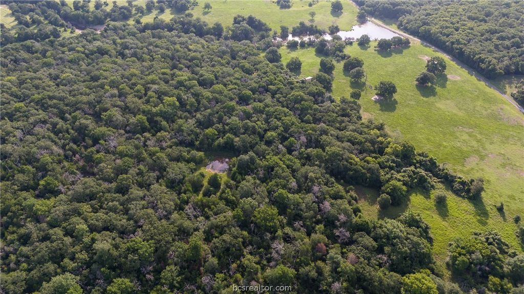 PVT EA FM 2000 TX PR 2025, Caldwell, TX 77836 — photo 4