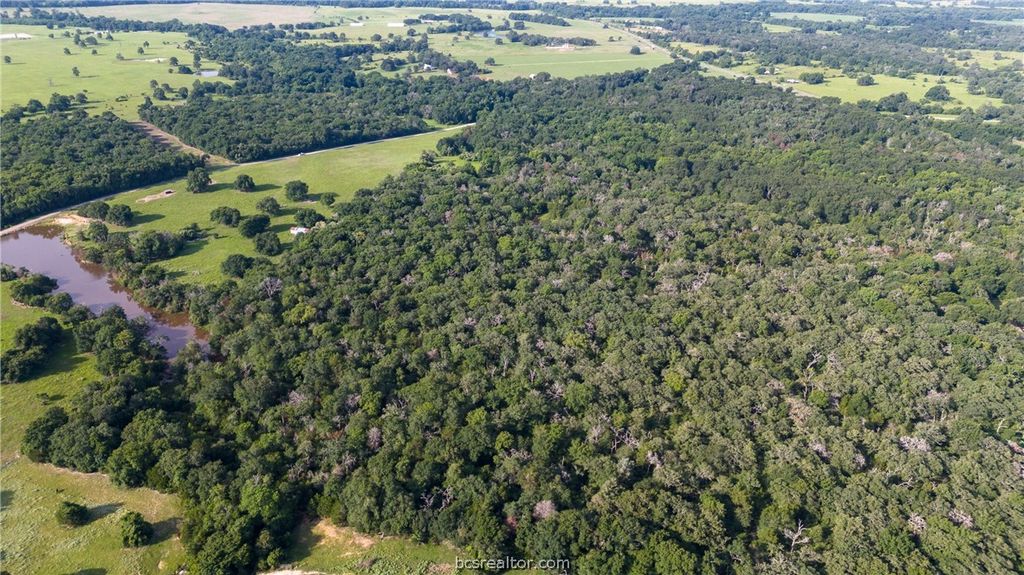 PVT EA FM 2000 TX PR 2025, Caldwell, TX 77836 — photo 5