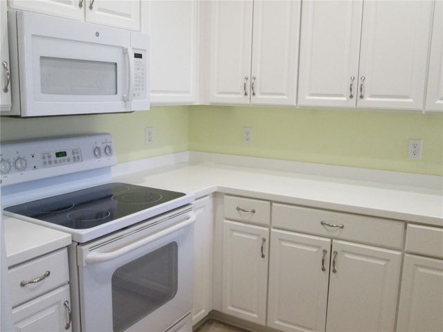 1106 JAMESON GREENS DRIVE, Sun City Center, FL 33573