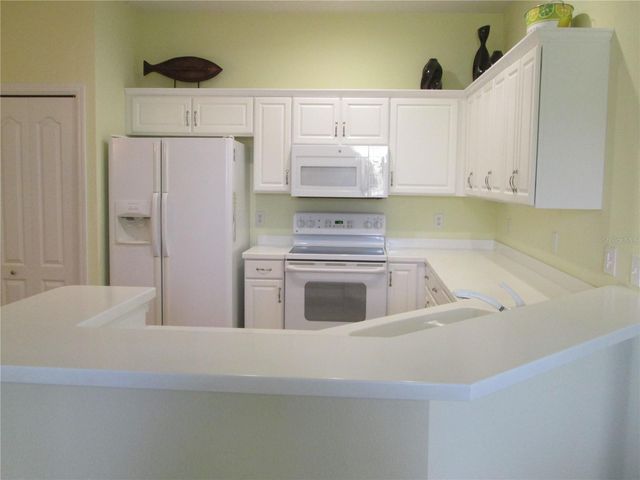 1106 JAMESON GREENS DRIVE, Sun City Center, FL 33573