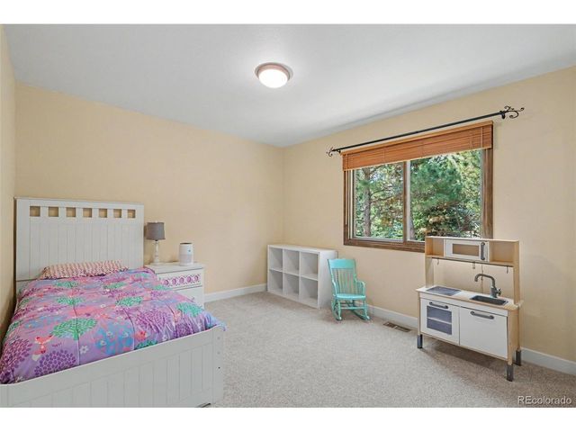 6227 Northwoods Glen Dr, Parker, CO 80134