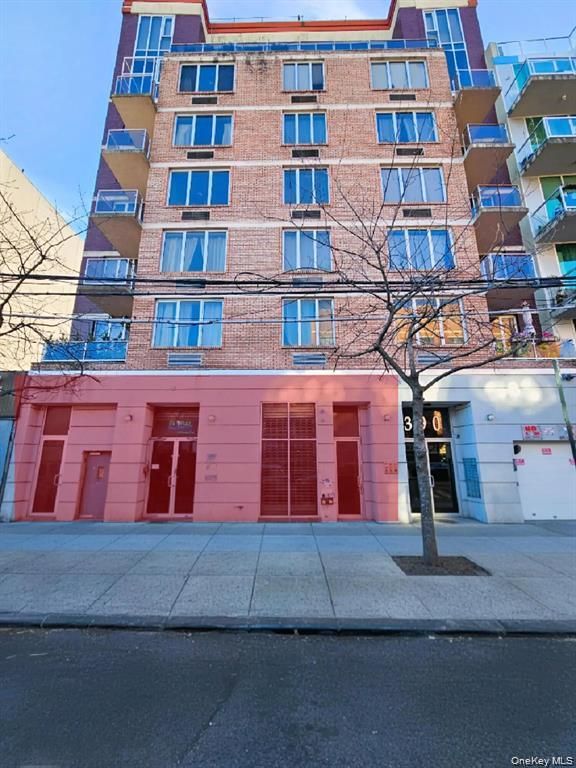 390 Kings Highway C1, Brooklyn, NY 11223 — photo 2
