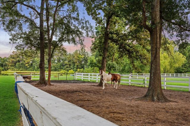 39414 Lago Drive, Magnolia, TX 77354