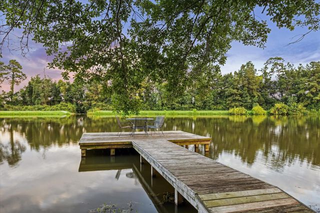 39414 Lago Drive, Magnolia, TX 77354