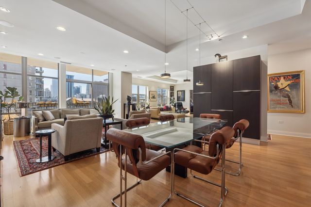 1035 N Dearborn Street 9W, Chicago, IL 60610