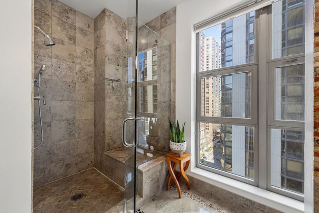 1035 N Dearborn Street 9W, Chicago, IL 60610