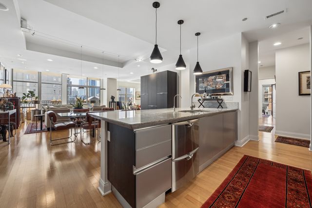 1035 N Dearborn Street 9W, Chicago, IL 60610