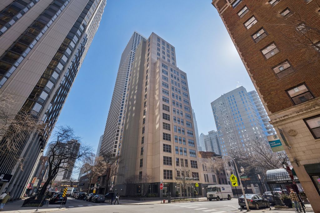 1035 N Dearborn Street 9W, Chicago, IL 60610