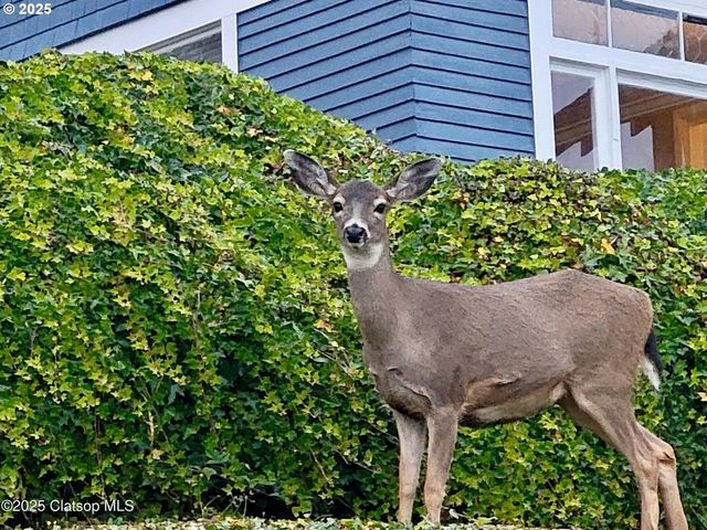659 FLORENCE Ave, Astoria, OR 97103