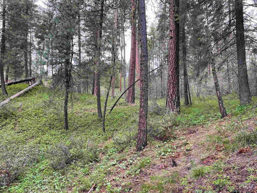 TBD Park Ln Lot 8, Boise, ID 83716 photo 7