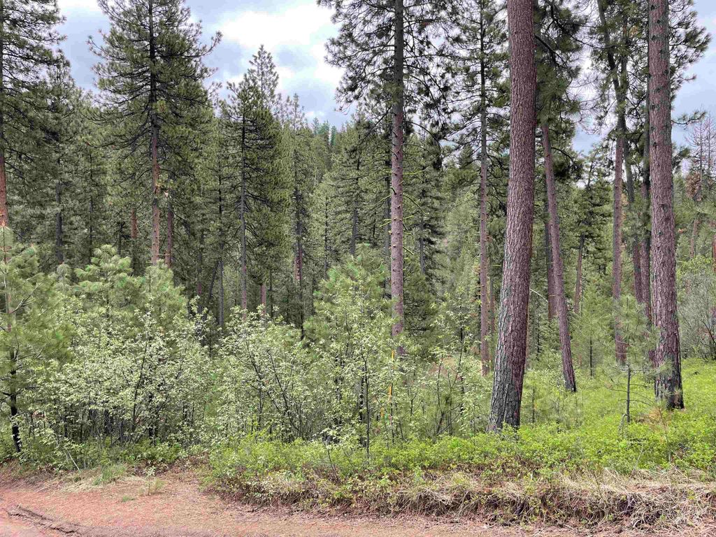 TBD Park Ln Lot 8, Boise, ID 83716 photo 9