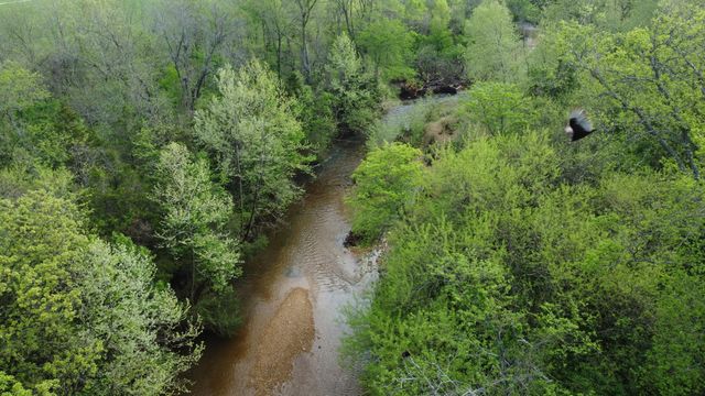 000 Mills Valley Boulevard, Marshfield, MO 65706