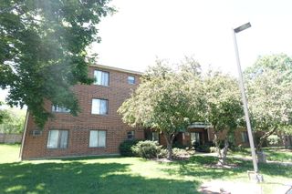 1303 N Winslowe Drive 203, Palatine, IL 60074