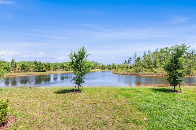 11236 CRESCENT DEER DRIVE, Land O Lakes, FL 34638