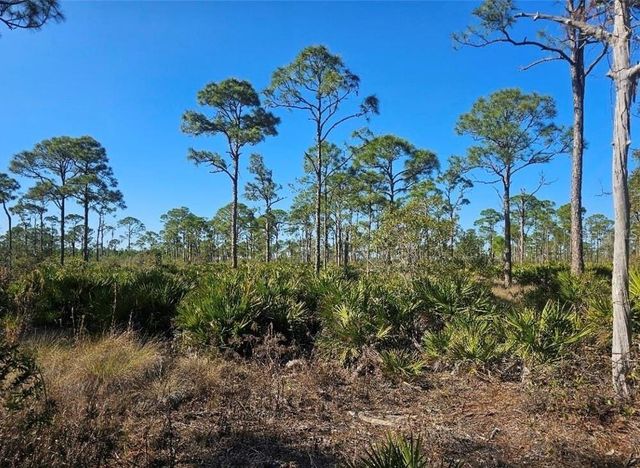 4170 OLD BURNT STORE RD, Cape Coral, FL 33993