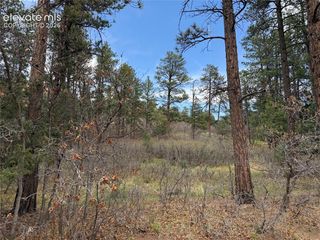 4885 Red Rock Drive, Larkspur, CO 80118