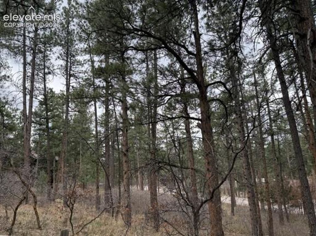 4885 Red Rock Drive, Larkspur, CO 80118 — photo 4