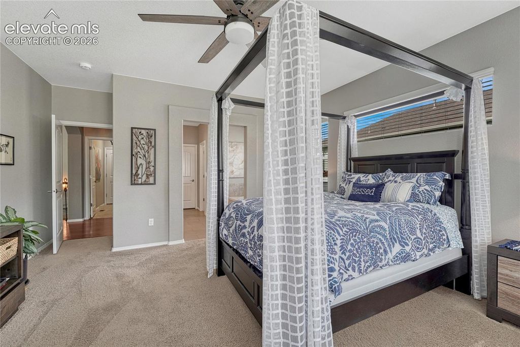 6743 Mustang Rim Drive, Colorado Springs, CO 80923 — photo 4