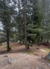 295 Grandview, Twin Peaks, CA 92391
