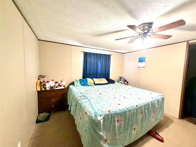 310 Beaks Avenue, Eagle Lake, TX 77434