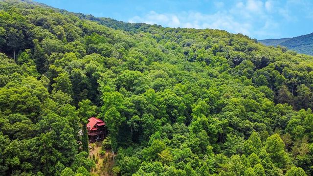 90 Picklesimer Mountain Trail, Morganton, GA 30560