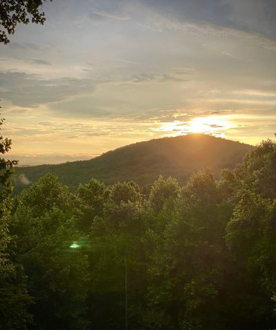 90 Picklesimer Mountain Trail, Morganton, GA 30560