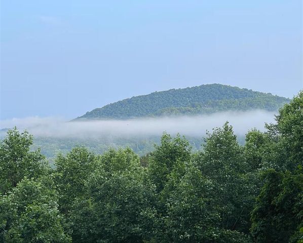 90 Picklesimer Mountain Trail, Morganton, GA 30560