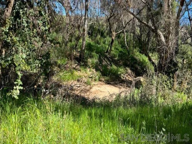 Bunny Dr. Sec 23-16-2E Swq Seq Of, Lawson Valley, CA 91935