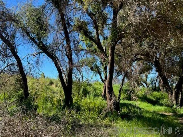 Bunny Dr. Sec 23-16-2E Swq Seq Of, Lawson Valley, CA 91935