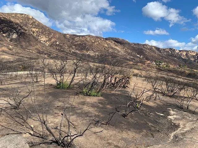 Bunny Dr. Sec 23-16-2E Swq Seq Of, Lawson Valley, CA 91935