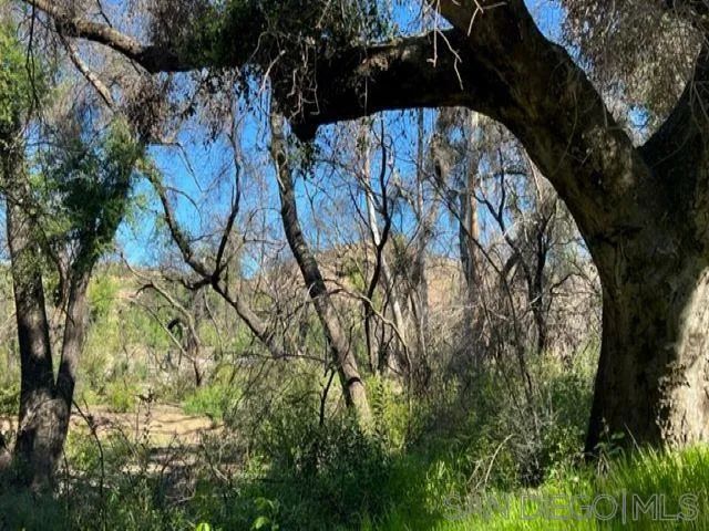 Bunny Dr. Sec 23-16-2E Swq Seq Of, Lawson Valley, CA 91935