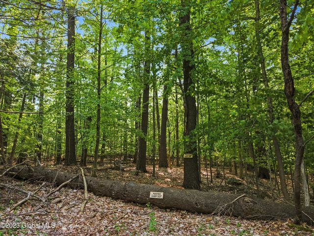 1732 Pilot Knob Road, Fort Ann, NY 12844