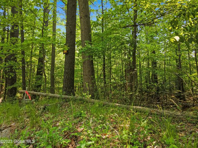 1732 Pilot Knob Road, Fort Ann, NY 12844