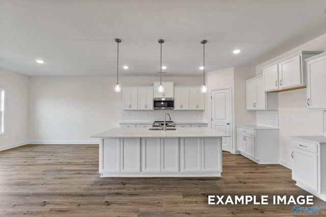 208 Slade Thomas Drive, Meridianville, AL 35759