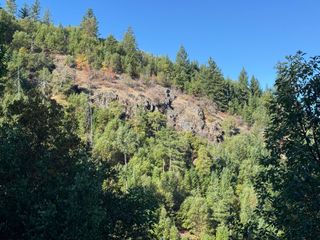 160 Birdseye Cr Road, Rogue River, OR 97537