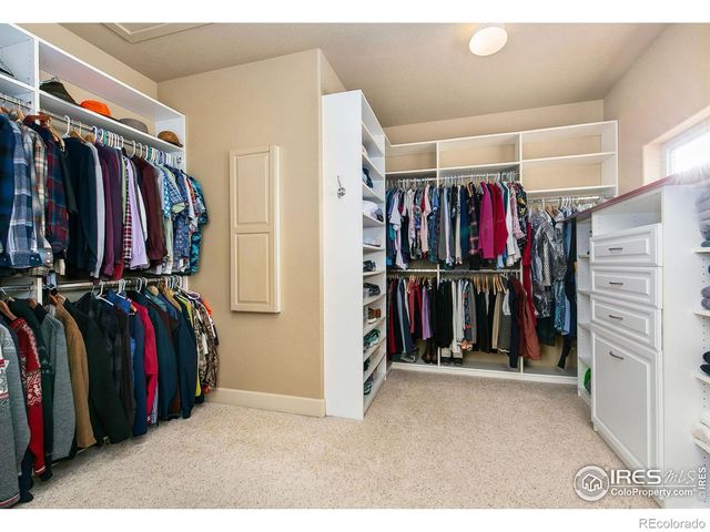 263 Rossum Drive, Loveland, CO 80537