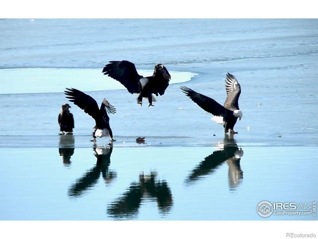 263 Rossum Drive, Loveland, CO 80537