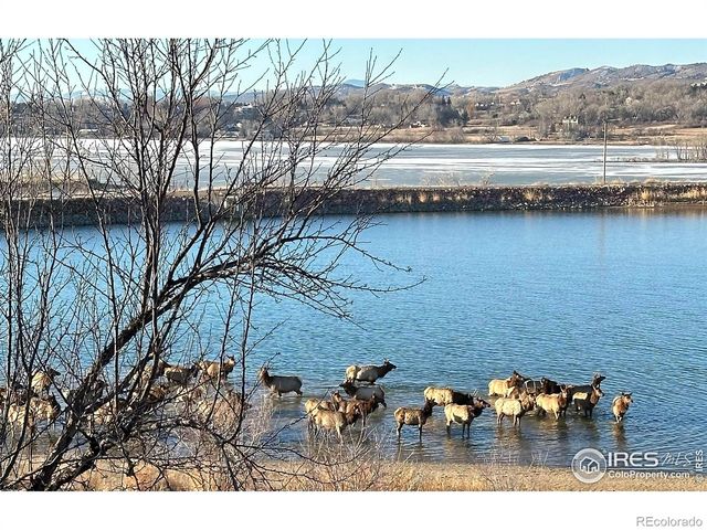 263 Rossum Drive, Loveland, CO 80537