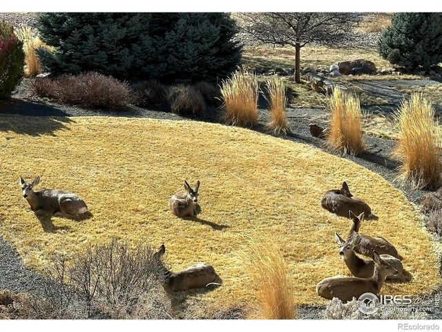 263 Rossum Drive, Loveland, CO 80537