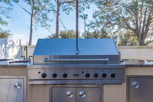 3602 JUNEBERRY DRIVE, Wesley Chapel, FL 33543