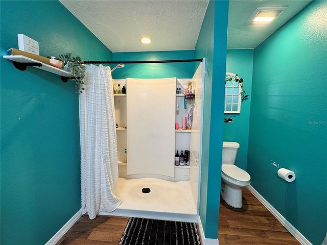 921 WYNNMERE WALK AVENUE, Ruskin, FL 33570